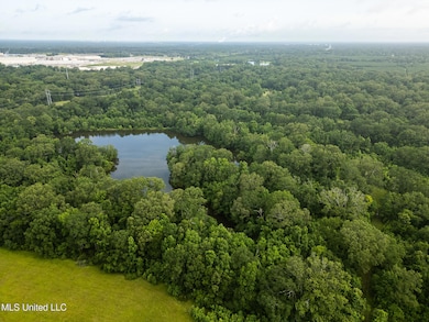 403 Mount Pleasant - Zachary Rd, Zachary, LA 70791 - photo 4