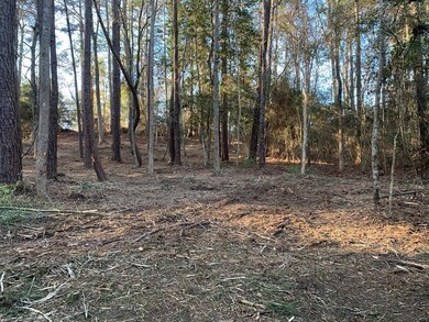 021 Private Road 6028 unit Tract 1-21, Brookeland, TX 75931 - photo 6