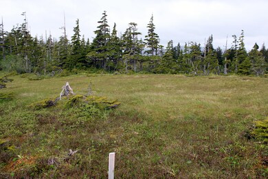 south corner and hill looking north west