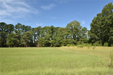 415 + lots 350,370 Jenkins Farm Rd, Brunswick, GA 31523 - photo 5