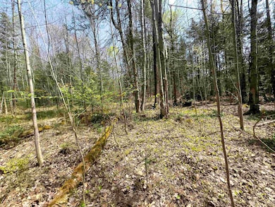 Lot 4 Oregon Rd, Concord, VT 05824 - photo 6