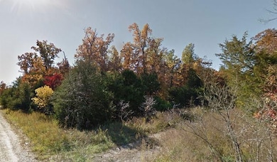 6854+VFP Horseshoe Bend unit Arkansas AR USA, Horseshoe Bend, AR 72512 - photo 7