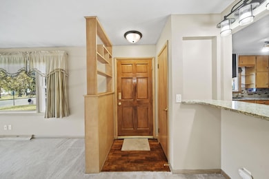 303 Tecumseh St, Brooklyn, MI 49230 - photo 6