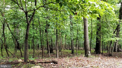 64 Brandy Rd, Front Royal, VA 22630 - photo 3