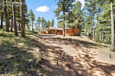 234 Wasatch Ln, Florissant, CO 80816 - photo 4
