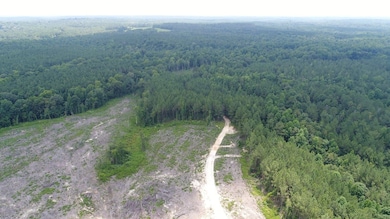 Old Meriwether Trail, Highland Home, AL 36041 - photo 7