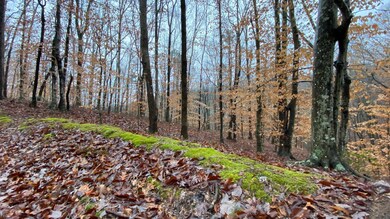 123 Harmon Rd, Somerset, KY 42501 - photo 5