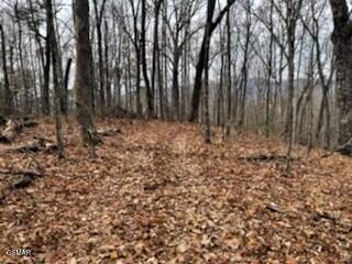 Tr-4 Pulaski Ln, Sevierville, TN 37862 - photo 2