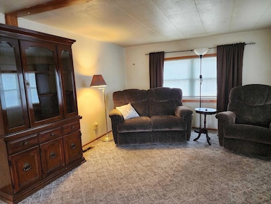 600 Ripley St, Harpers Ferry, IA 52146 - photo 3