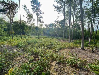 00 Hill Rd unit M:12 B10 L:B, Alstead, NH 03602 - photo 5