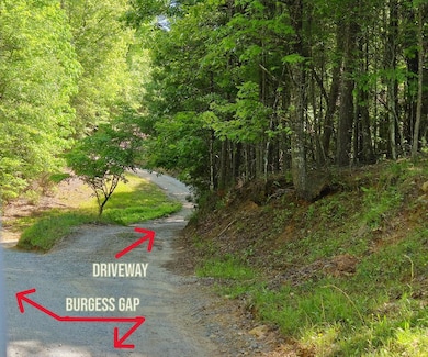 5.23acs Burgess Gap Rd, Morganton, GA 30560 - photo 2