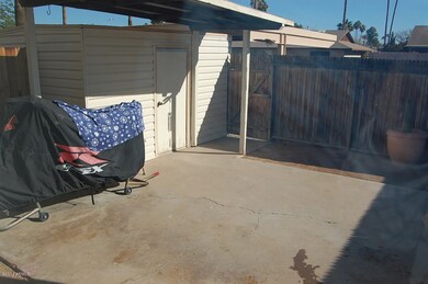 Backyard 1