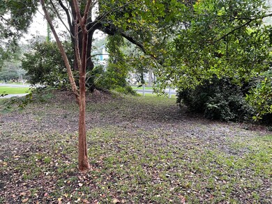 26 22nd Ave, Isle of Palms, SC 29451 - photo 7