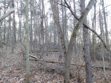 DSCN1191_2326