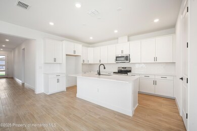 9071 Players Dr, Weeki Wachee, FL 34613 - photo 5