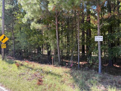 0 Bethuel Rd unit Lot 13, Unincorporated, TN 38053 - photo 4