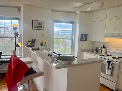 The Charlesview unit 1004, Boston, MA 02215 - photo 5