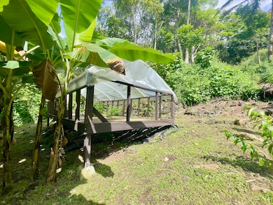 83-5586 Hawai?i Belt Rd, Captain Cook, HI 96704 - photo 7