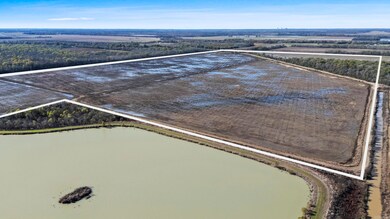 TBD Honey Bee Ln, England, AR 72046 - photo 5