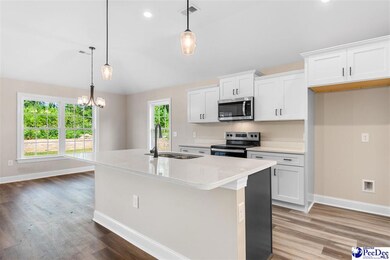 498 Cane Branch Rd, Loris, SC 29569 - photo 4