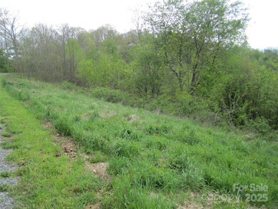 000 Signature Row Lot #17 Blvd unit 17, Waynesville, NC 28785 - photo 6