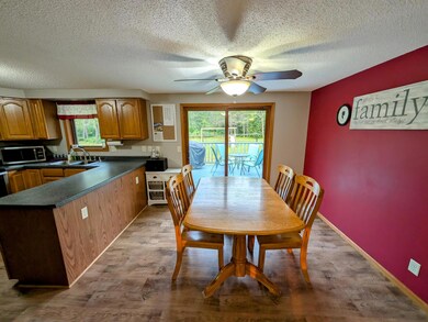 N9268 N Worcester Rd, Phillips, WI 54555 - photo 5