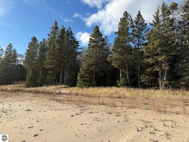 0 Carnegie Trail unit 26, Engadine, MI 49827 - photo 7