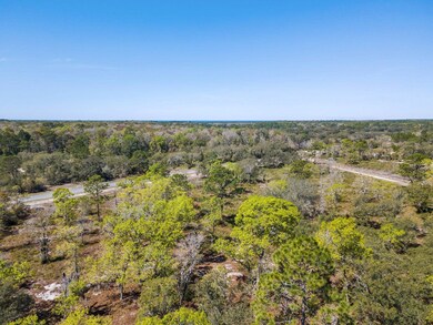 TBD Parente Place, Keaton Beach, FL 32348 - photo 5
