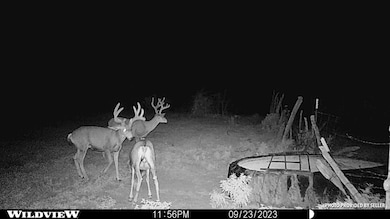 76 Surveyors Canyon Rd, Pinon, NM 88344 - photo 6