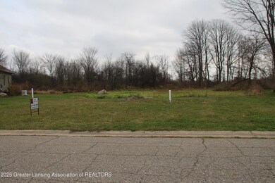 Lot 47 Doe Pass, Lansing, MI 48917 - photo 4