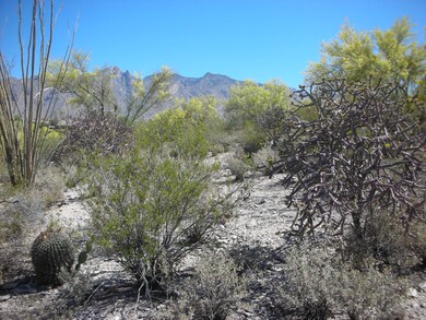 0 E Vía Alcalde unit 2 21211389, Catalina Foothills, AZ 85718 - photo 7