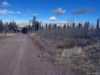 Lot 2544 Petito Dr, Fort Garland, CO 81133 - photo 3