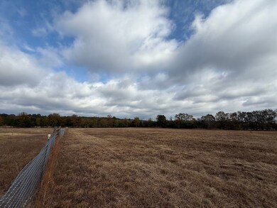 Sc Hwy 39 unit LotWP002, Williston, SC 29853 - photo 2