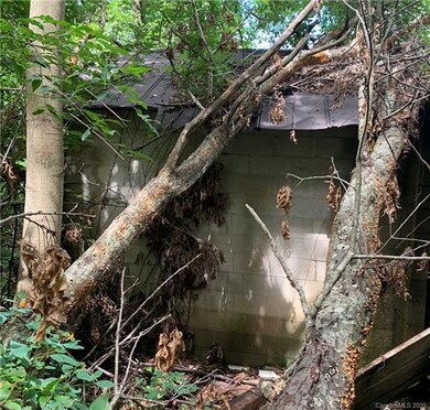 TBD Howard Gap Rd, Hendersonville, NC 28793 - photo 6