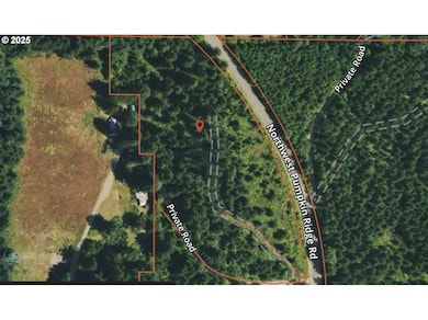 0 NW Pumpkin Ridge Rd, Northplains, OR 97133 - photo 3