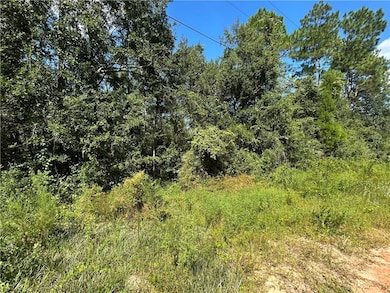 0 Liatrus Ln unit 7644990, Seminole, AL 36574 - photo 5