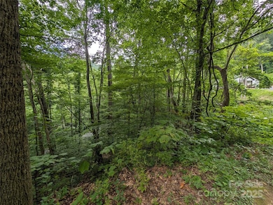 Corner lot looks down at the road.