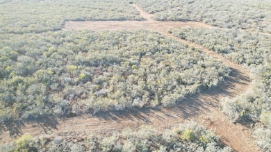 0 Fm 716 unit 20255318, Realtitos, TX 78376 - photo 6