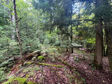 1.3 Farr Rd unit 3, Ohio, NY 13324 - photo 6