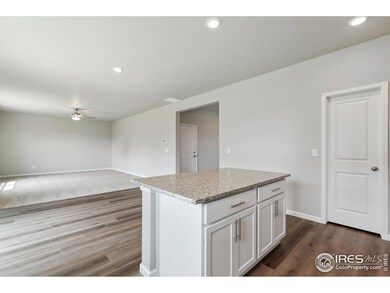 962 Cascade Falls St, Severance, CO 80550 - photo 6