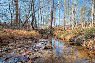 1590 Mill House Rd, Woolwine, VA 24185 - photo 2