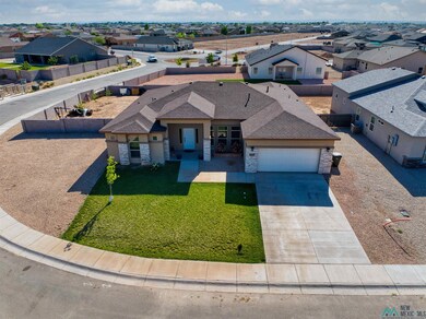 3813 S Sunnyview Ave, Carlsbad, NM 88220 - photo 2