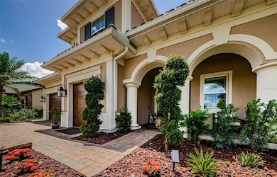 29038 Picana Ln, Wesley Chapel, FL 33543 - photo 3