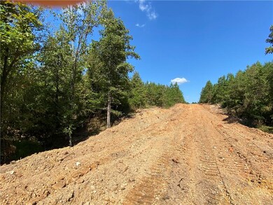 96 Limp Limb Ct, Broken Bow, OK 74728 - photo 4