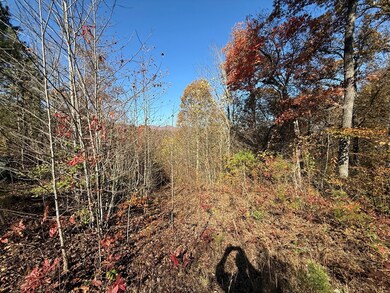 0 Summit Ridge Trail unit 154160, Marble, NC 28905 - photo 5