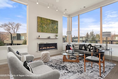 103 Willits Way unit 204, Basalt, CO 81621 - photo 2