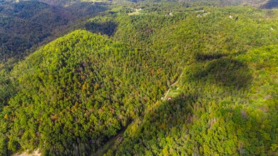 0 Lower Cane Creek Edwards Rd Rd unit 25503910, Stanton, KY 40380 - photo 5