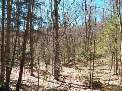 85-5-0 Cobble Hill Rd, Swanzey, NH 03446 - photo 7