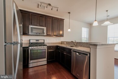 601 Quicksilver Ct unit 202, Reisterstown, MD 21136 - photo 3