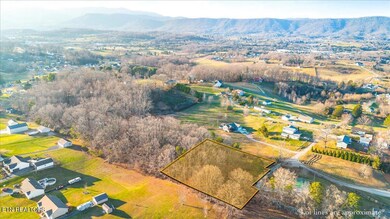 0 McGhee Ln unit 1323543, Jacksboro, TN 37757 - photo 2